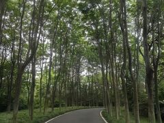 -宜兴龙背山森林公园