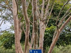 -中国科学院西双版纳热带植物园