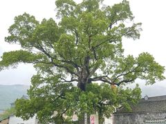 -宁波市保国寺古建筑博物馆