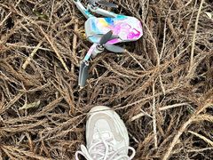 -武陵山森林公园