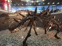 -国家自然博物馆