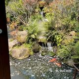 广州居然还有这种地方！！！！