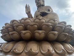 -龙口南山旅游景区