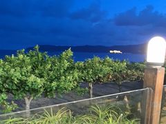 -渔家火锅·海鲜自助餐·演艺(亚龙湾天域酒店)
