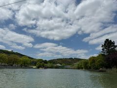 -上海佘山世茂艾美酒店