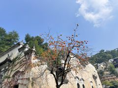 -婺源风景区
