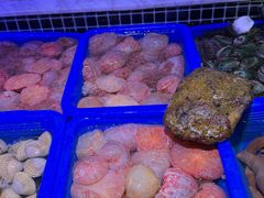-开海·红岛海鲜虾水饺(石老人店)