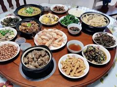 -优护优家Ucare月嫂育儿嫂陪伴师(静安店)