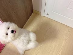 -comecome来吧宠物(奥克斯中心店)