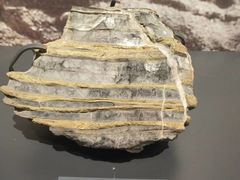 -湖南省地质博物馆