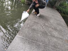 -西湖游船