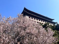 -北京明城墙遗址公园