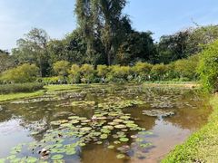 -中国科学院西双版纳热带植物园
