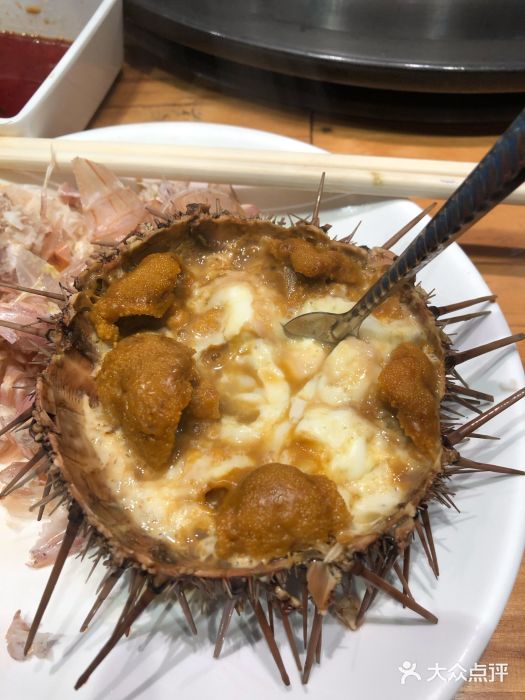 海胆蒸蛋,,美味佳肴的不二选择(海胆蒸蛋的制作方法和味道如何)-52