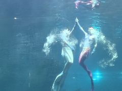 -福州罗源湾海洋世界旅游区