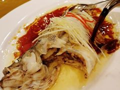 清蒸桂鱼-鹏天阁酒楼·海鲜(红旗店)