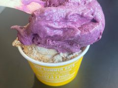 蓝莓酸奶-Patagonia Chocolates(皇后镇店)