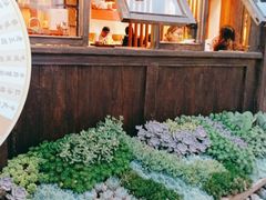 -木王宴语·野生鲜菌火锅(玉河店)