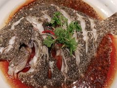 -百富源·海鲜辽菜(浑河堡店)