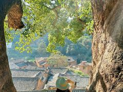 -杨家堂村