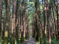 -同里国家湿地公园