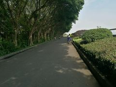 -大湾区中央湿地公园