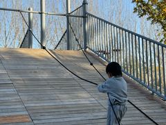 -汉长安城未央宫国家考古遗址公园