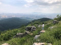 -长虫山生态公园风景林