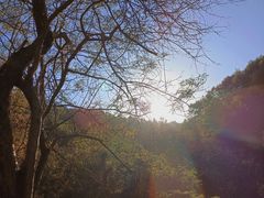 -武汉姚家山旅游景区