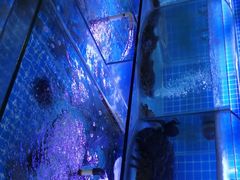 -鼓歌海鲜舫·手抓海鲜(大学城店)