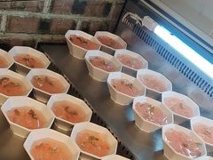 -成老灶火锅鸡(平山店)