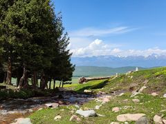 -新疆那拉提国家旅游度假区