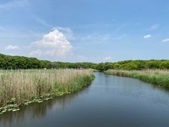 -同里国家湿地公园