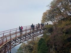 -少华山国家森林公园