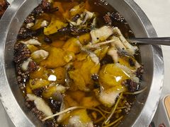 -鑫巴蜀小镇 · 水煮鱼专研店(玉桥店)