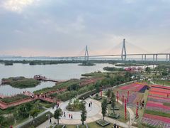 -芒洲湿地公园