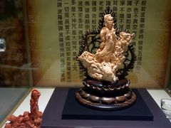 -东海珊瑚博物馆