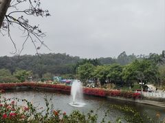 -广州莲花山旅游区