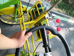 -合肥滨湖国家森林公园