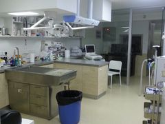 -爱侣宠医·鹦鹉专科·小型哺乳类·异宠专科(灵石路店)