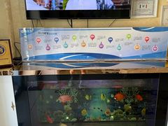 -诚之康口腔矫正种植中心(天通苑店)