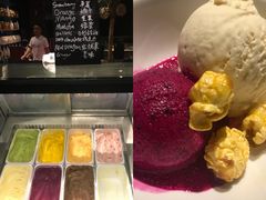 火龙果雪糕-广州富力君悦大酒店·凯菲厅