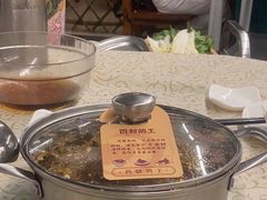 -百利鸽王(紫薇路店)