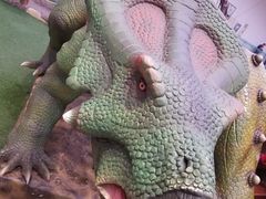 -陕西自然博物馆