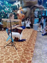 -卡通尼·Safari非洲探索乐园·生日会(金桥国际商业广场店)