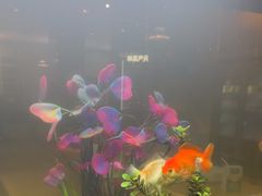 -水立方国际汤泉(六一中路店)