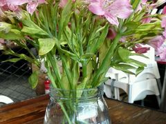 -MIKAKU(万达广场上海宝山店)