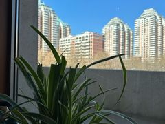 -东来顺饭庄(金泉广场店)