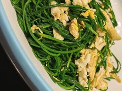 -靖远尕六美味羊羔肉