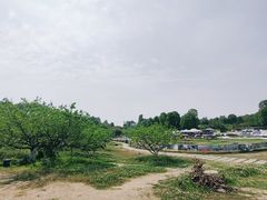 -秀丽东方
